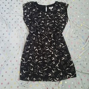 Super sure Sweet Storm dress size Large